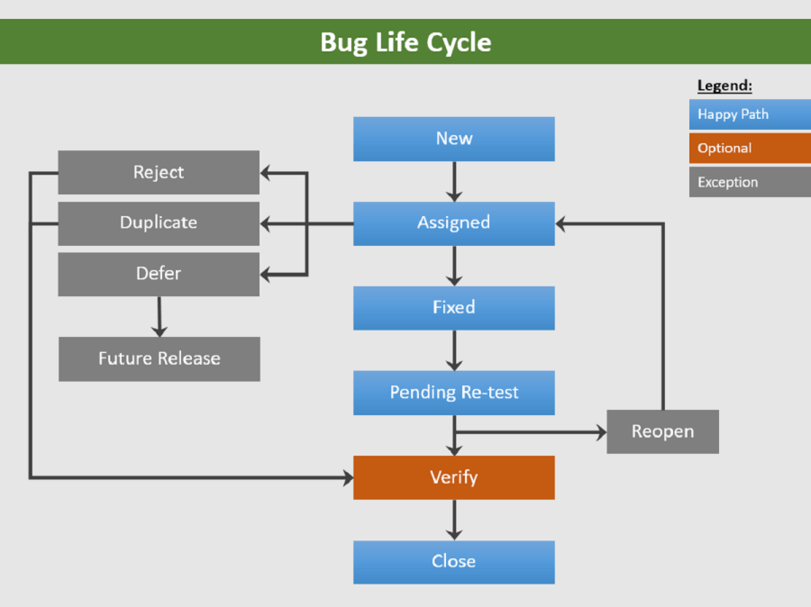 Graphic illustrating the bug life cycle with multiple pathways